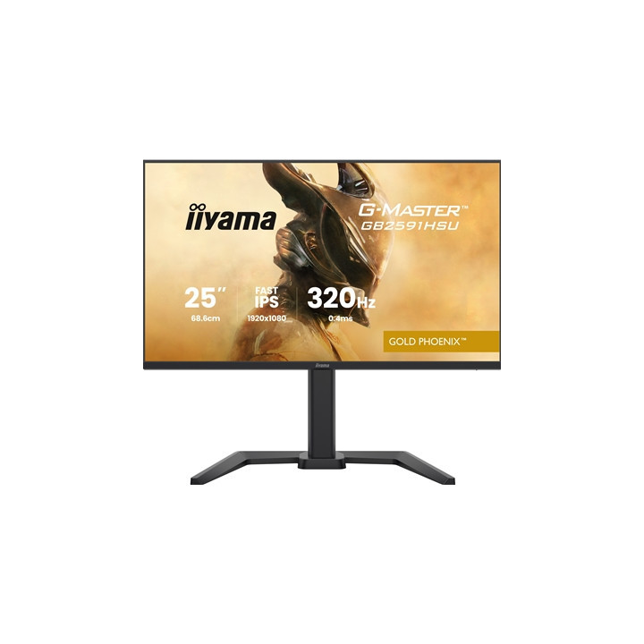 iiyama G-Master GB2591HSU-B1 24.5-Inch Fast IPS LCD  1920x1080  up to 320Hz  350 cd/m2 Brightness  0.4ms MPRT   2 x HDMI 2.1 + 1