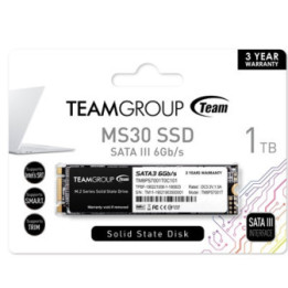 Team MS30 (TM8PS7001T0C101) 1TB  M.2 Sata Interface  Read 530MB/s  Write 480MB/s  3 Year Warranty