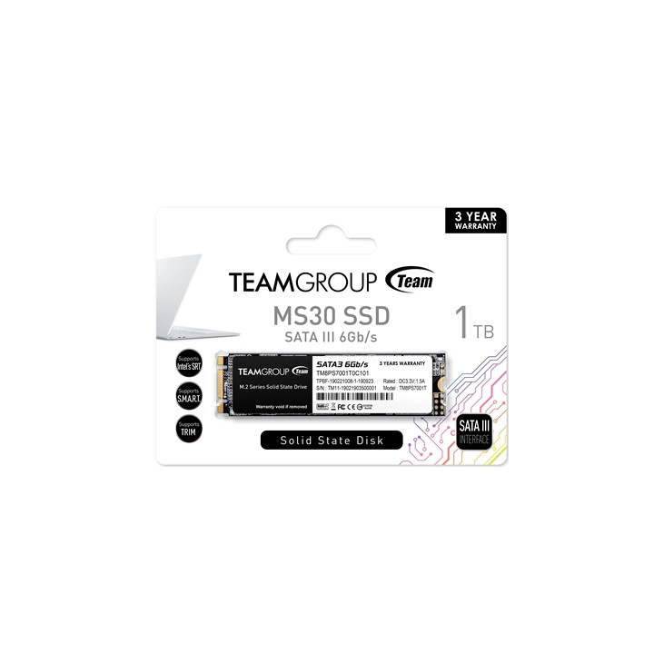 Team MS30 (TM8PS7001T0C101) 1TB  M.2 Sata Interface  Read 530MB/s  Write 480MB/s  3 Year Warranty