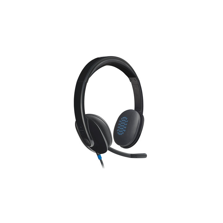 Logitech H540 USB Headset with Noise-Cancelling Mic and On Ear Controls