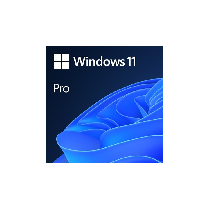 Microsoft Windows 11 Professional 64bit English OEI DVD Operating Software OEM