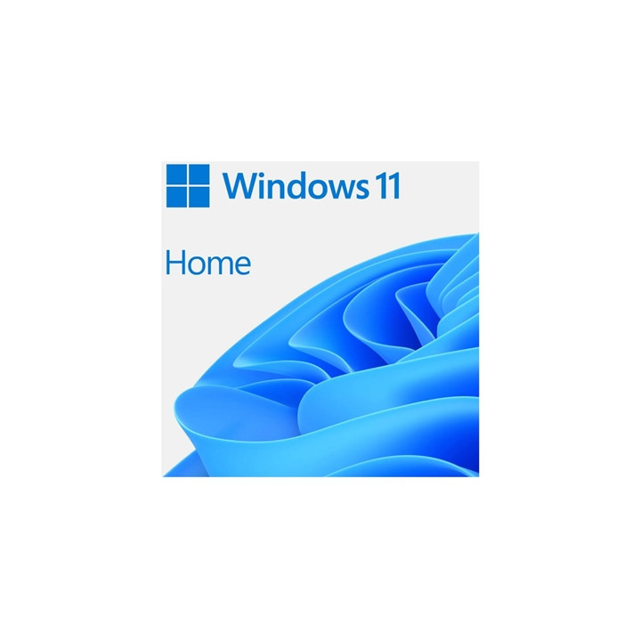 Microsoft Windows 11 Home 64bit English USB Flash Drive